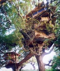 treehouse