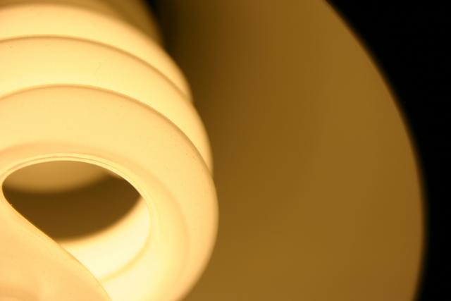 fluorescent bulb